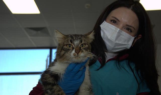Enkazdan kurtarılan hayvanlar İzmir’e getirildi