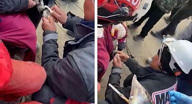 Enkazdan kurtarılan kediye makur desteği