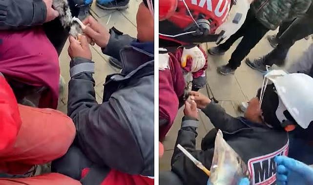 Enkazdan kurtarılan kediye makur desteği