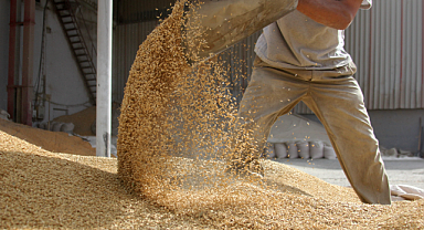 Türkiye'nin gıda ihracatının yüzde 46'sını hububat bakliyat yağlı tohumlar sektörü yaptı