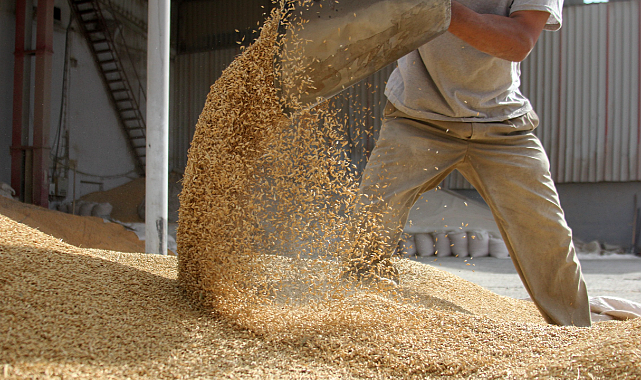 Türkiye&#039;nin gıda ihracatının yüzde 46&#039;sını hububat bakliyat yağlı tohumlar sektörü yaptı