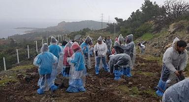 Foça'da Orman Haftası Kutlama ve Fidan Dikim Etkinliği