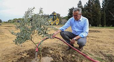 Gaziemir'de Fidanlar Toprakla Buluştu