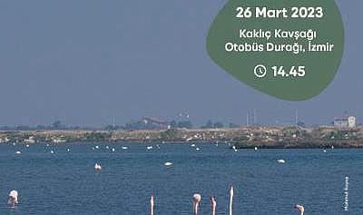 Gediz Deltası&#039;nda Kuş Gözlem Yürüyüşü