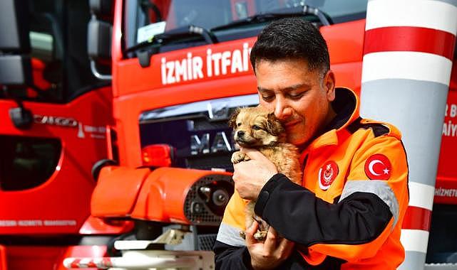 İzmirli itfaiyeci deprem bölgesinden gelen köpeğe yuvasını açtı