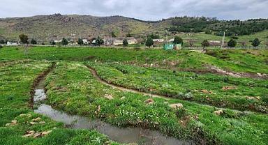 Karşıyaka Kent Ormanı'nda örnek uygulama
