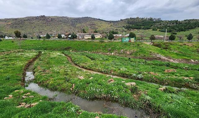 Karşıyaka Kent Ormanı&#039;nda örnek uygulama