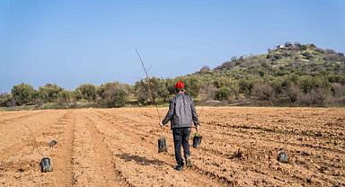 İzmir Tarımı Danışma Hattı kuraklıkla mücadele için çalışıyor