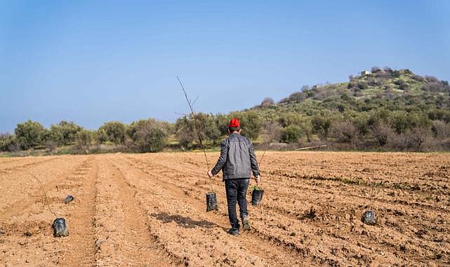 İzmir Tarımı Danışma Hattı kuraklıkla mücadele için çalışıyor