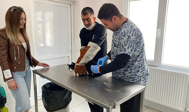 Konak’taki Can Dostlar İçin Aşı Mesaisi