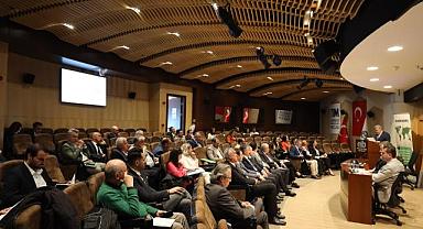 Zeytincilik sektörü ihracatta 1 milyar dolara koşuyor