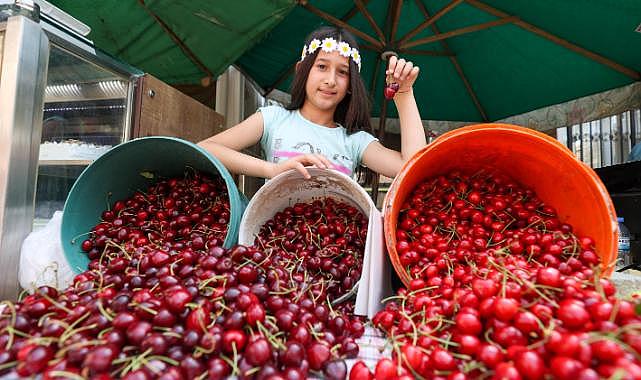 Buca&#039;nın Kiraz Festivali&#039;ne geri sayım başladı