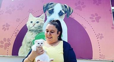 Depremzede kediler yeni evlerine kavuştu