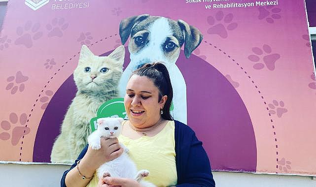 Depremzede kediler yeni evlerine kavuştu