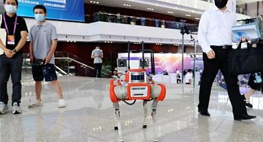 Hayvanlardan ilham alınan robotlar araziyi tanımak için eğitildi