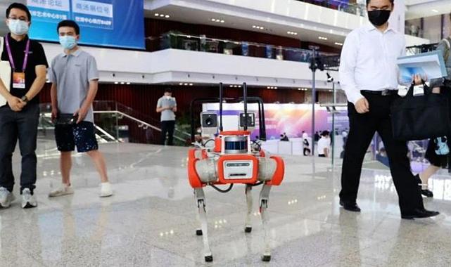 Hayvanlardan ilham alınan robotlar araziyi tanımak için eğitildi