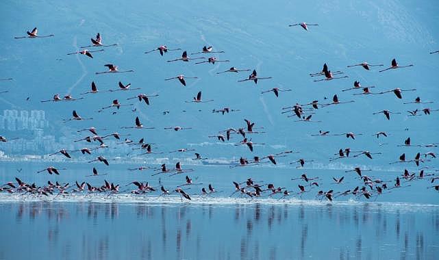 &quot;İzmir Körfezi&#039;nde müsilaj yok&quot;