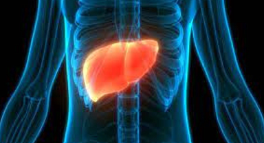 Karaciğer Büyümesinin 5 Önemli Belirtisi