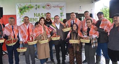 Kemalpaşa’da ilk kiraz hasadı yapıldı