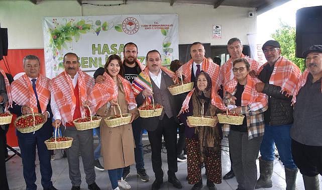 Kemalpaşa’da ilk kiraz hasadı yapıldı