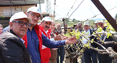 Türk üzümü dünya sofralarına kalıntısız ulaşıyor