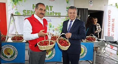 Türkiye 80 bin ton kiraz ihracatı hedefliyor