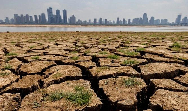 Avrupa&#039;da İklim Değişikliği: 2022 Yılında Rekor Sıcaklıklar ve Olumsuz Etkiler