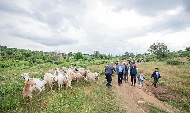 Bergama&#039;da yayla yolculuğu başladı