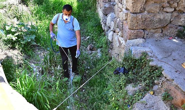 İzmir’de sivrisineklere karşı etkin mücadele