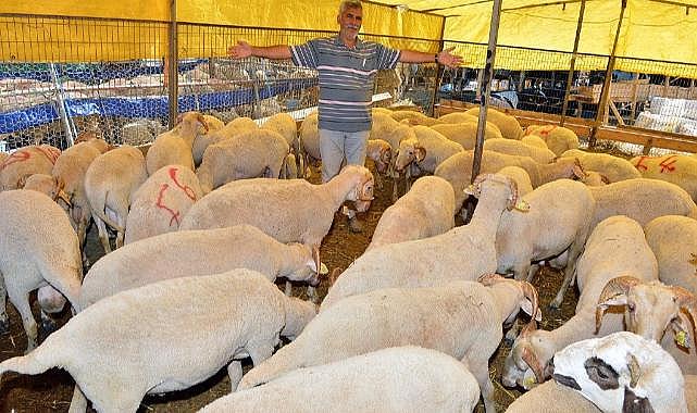 İzmir Kurban Bayramı&#039;na hazır