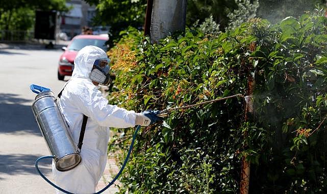 Karşıyaka&#039;da sinek ve haşereyle etkin mücadele