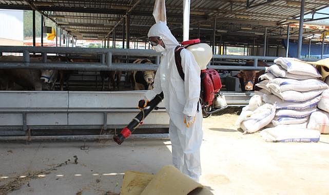 Karşıyaka Kurban Bayramı’na hazır