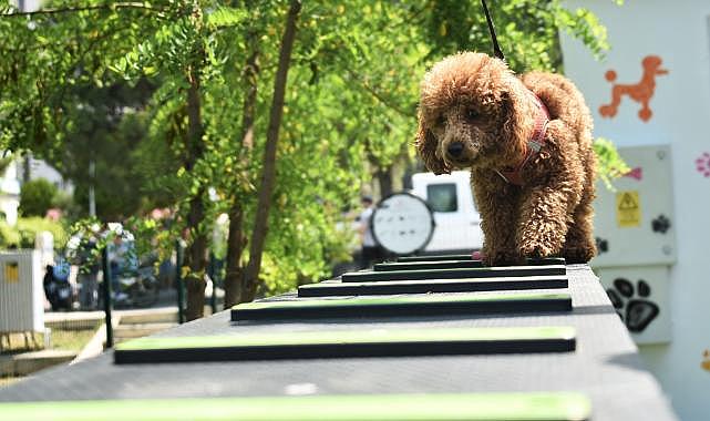 Kemalpaşa&#039;da Can Dostlar İçin Pati Park