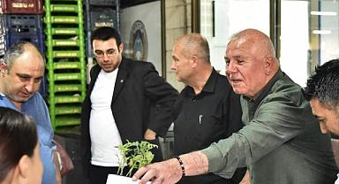 Kemalpaşa'da Fideler Toprakla Buluşuyor