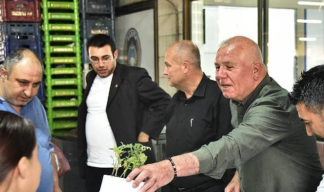 Kemalpaşa&#039;da Fideler Toprakla Buluşuyor