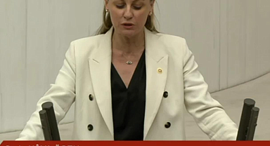 Kendi partilerine döndüler