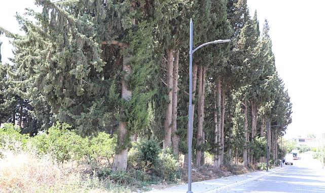 Menderes’e Yeni Aydınlatmalar