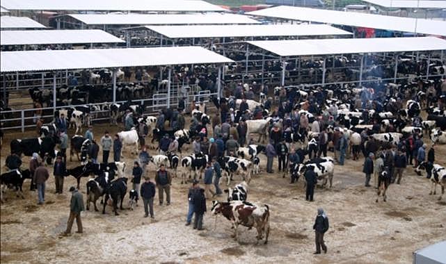 Ödemiş&#039;te kurban satış ve kurban kesim yerleri belli oldu