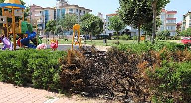 Parkta üzücü görüntüler: Şehir magandaları yine zarar verdi