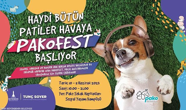Pati dostları bu festivalde buluşacak