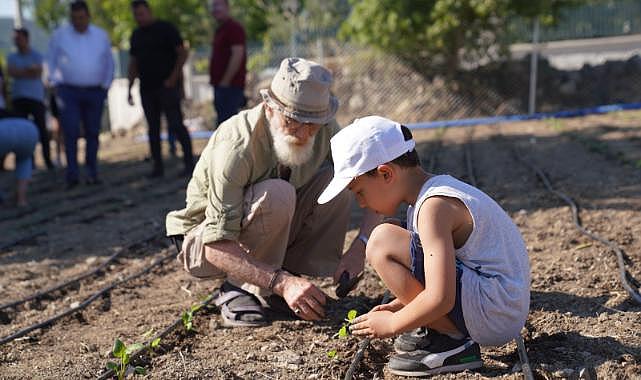Seferihisar tarımının yeni yıldızı: Ekinezya