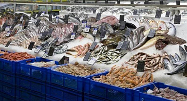 Su ürünleri üretimi arttı