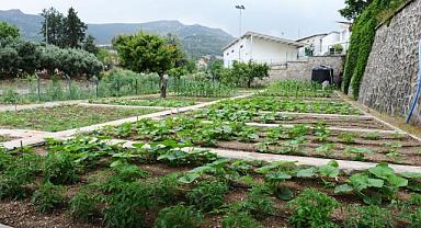 Tugay “Yerel tohumları koruyor ve toprakla buluşturuyoruz”