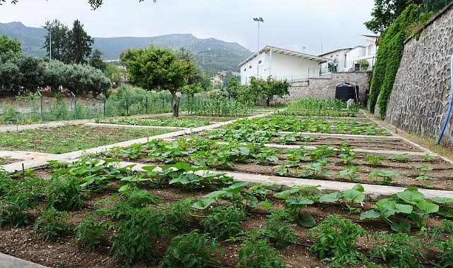 Tugay “Yerel tohumları koruyor ve toprakla buluşturuyoruz”