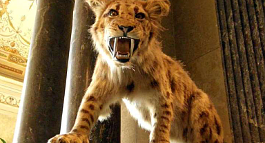 5 milyon yıllık fosiller, 2 yeni kılıç dişli kedi türünü ortaya çıkardı