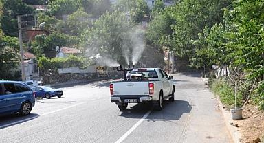 Bayraklı’da ‘ilaçlama’ seferberliği