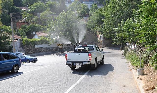 Bayraklı’da ‘ilaçlama’ seferberliği