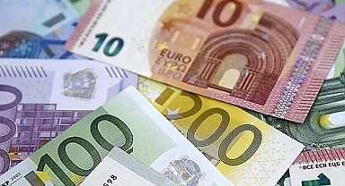 Euro'da tarihi rekor geldi! 30 lirayı aştı