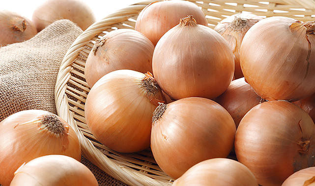 Göz yaşartmayan soğan raflardaki yerini almaya başlıyor