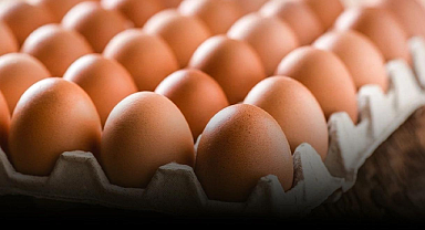 "İçimizde çürük yumurtalar varsa ayıklansın"